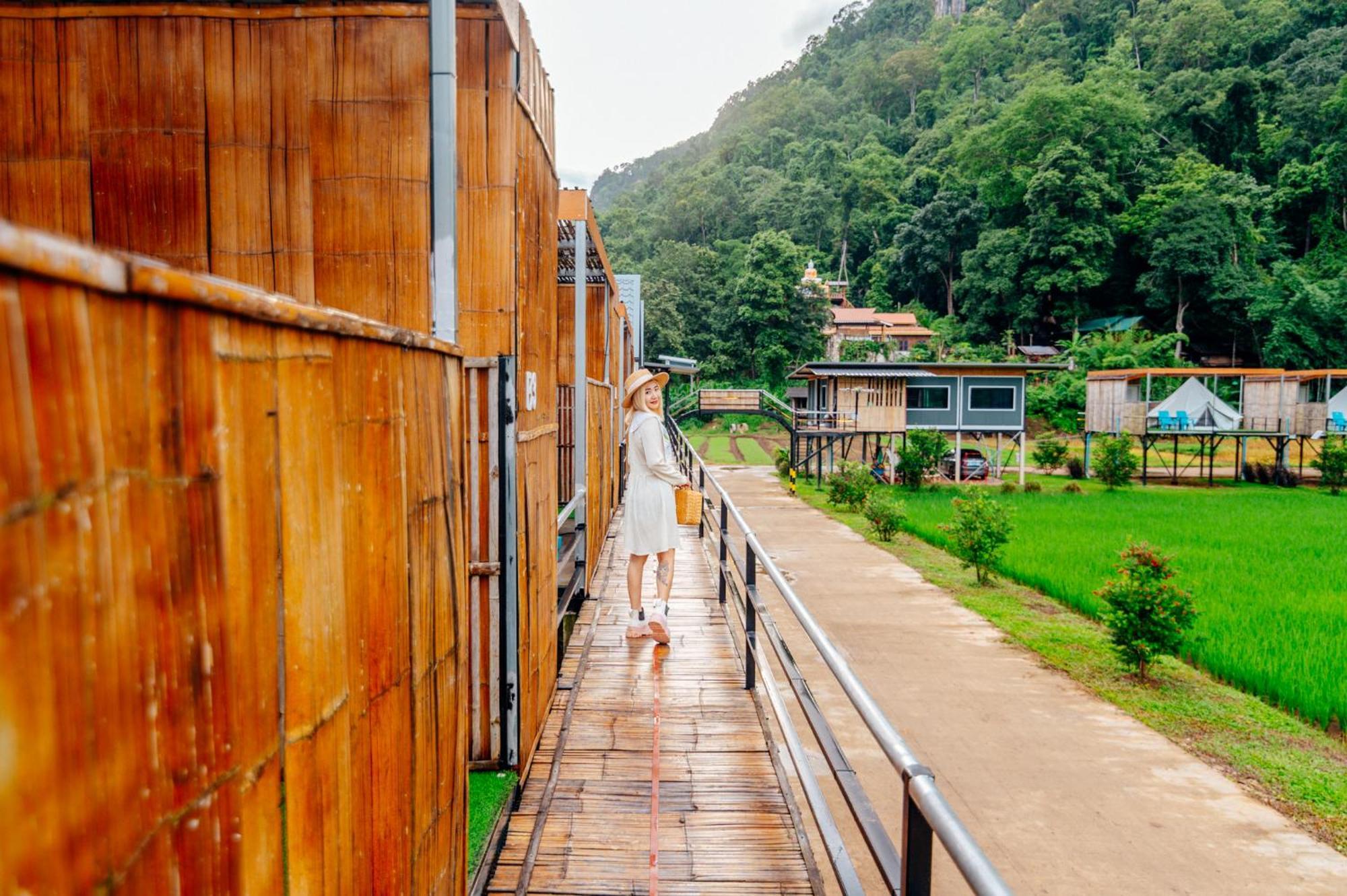 เนเจอร์วัลเล่ย์แคมป์ ปางมะผ้า Hotel Exterior photo